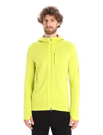 Men's Icebreaker Merino Quantum III Long Sleeve Zip Hoodie Shine / Clove | CA 1680MQZA